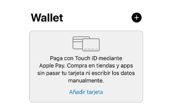 First Apple Pay screen for registration.