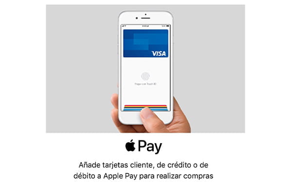 Second step in the Apple Pay registration to add the card data.