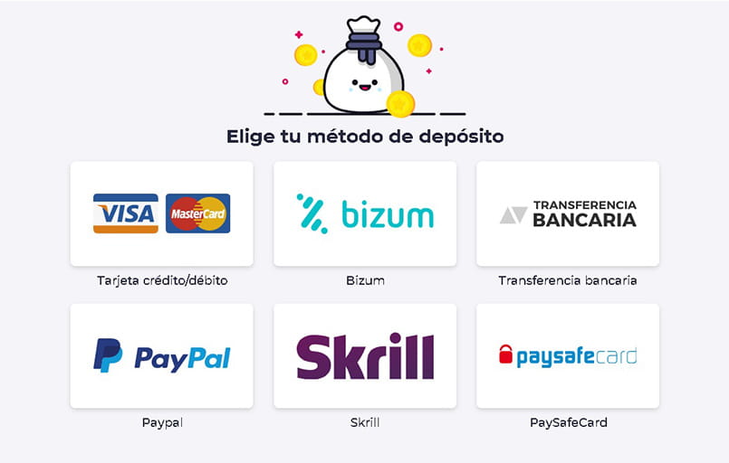 Panel in which the payment method is entered