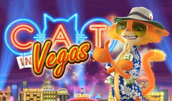Play Cat in Vegas and enjoy the game.