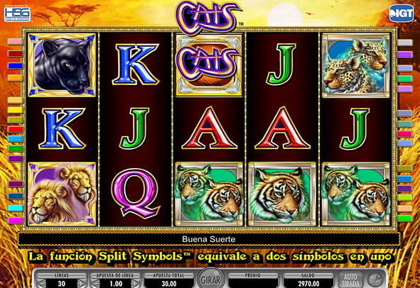 Play the Cats slot from the developer IGT with its 5 reels, 3 rows and up to 30 eligible paylines. Next to the symbols of the various felines, the double symbols of these also stand out.