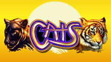 Cover of the IGT Cats slot.