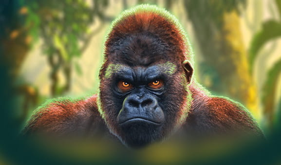 Cover of the Epic Ape game.