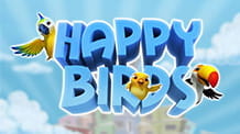 Cover of the Happy Birds slot from iSoftBet for online casinos.
