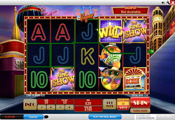 Try now the Cat in Vegas machine totally free, without registration or real money deposit.