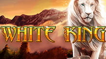 Image of the cover of the Playtech slot White King.