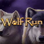 Image of the Wolf Run slot.